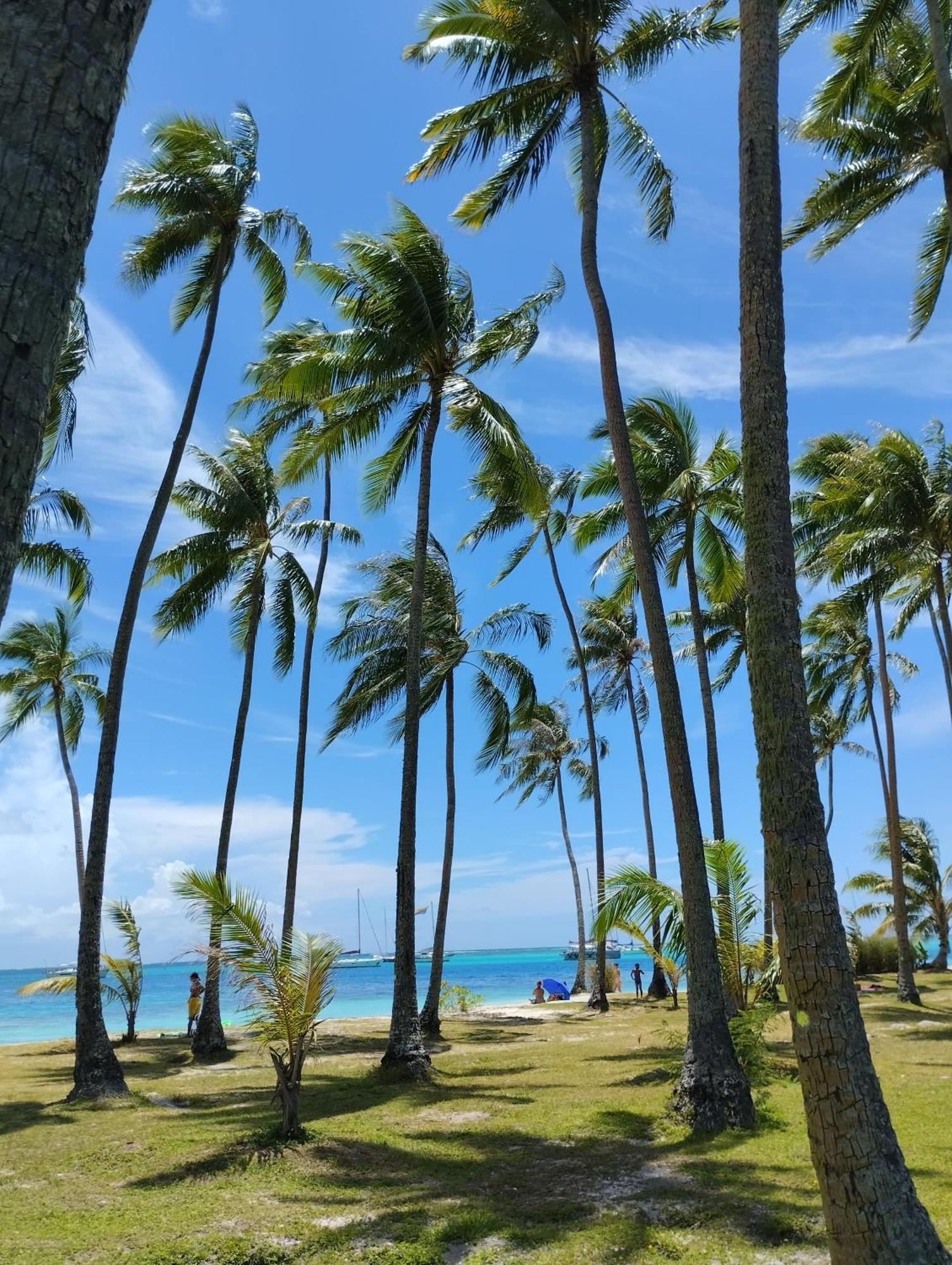 Tema'E Beach House Temae Exteriör bild