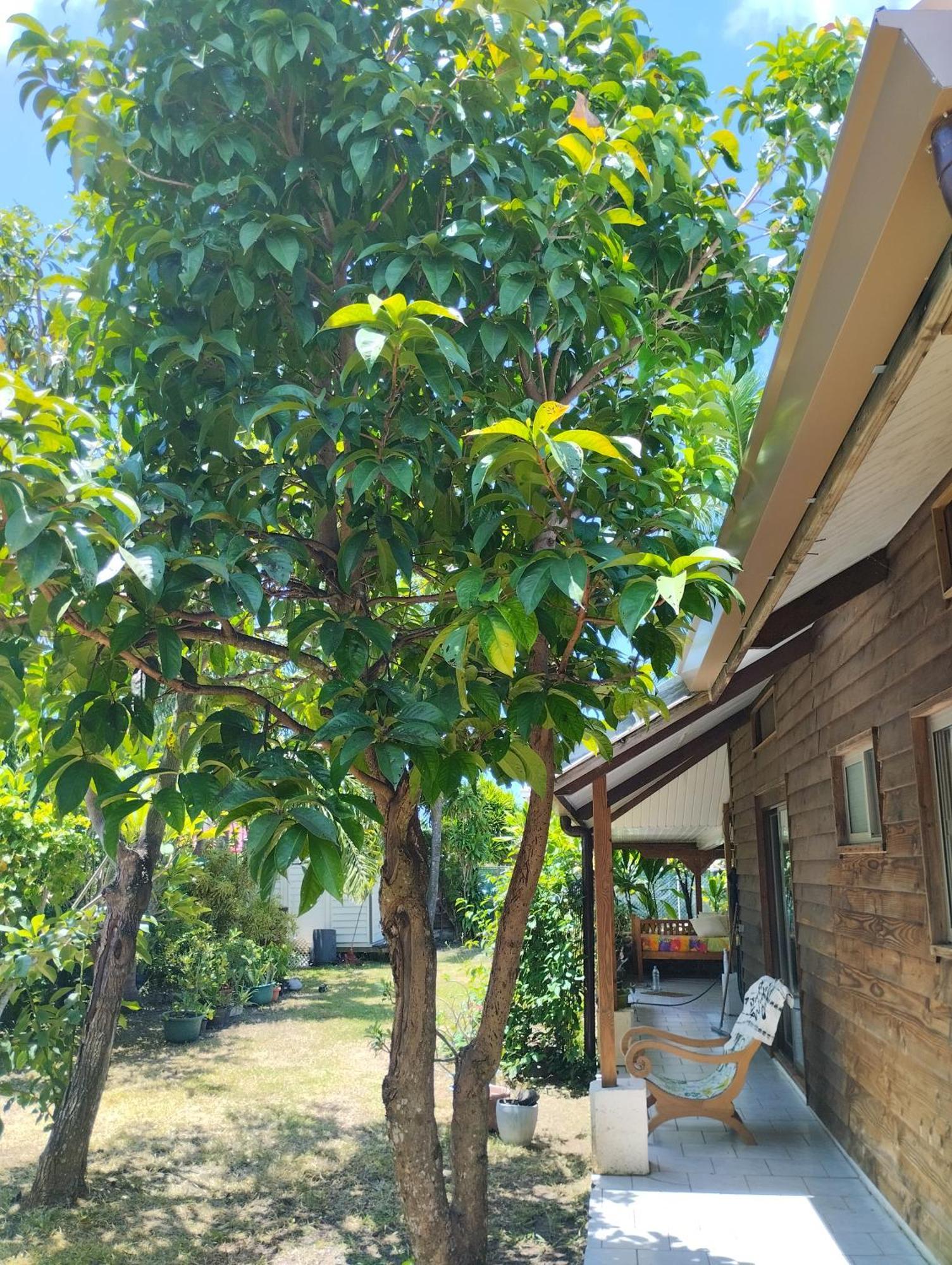 Tema'E Beach House Temae Exteriör bild